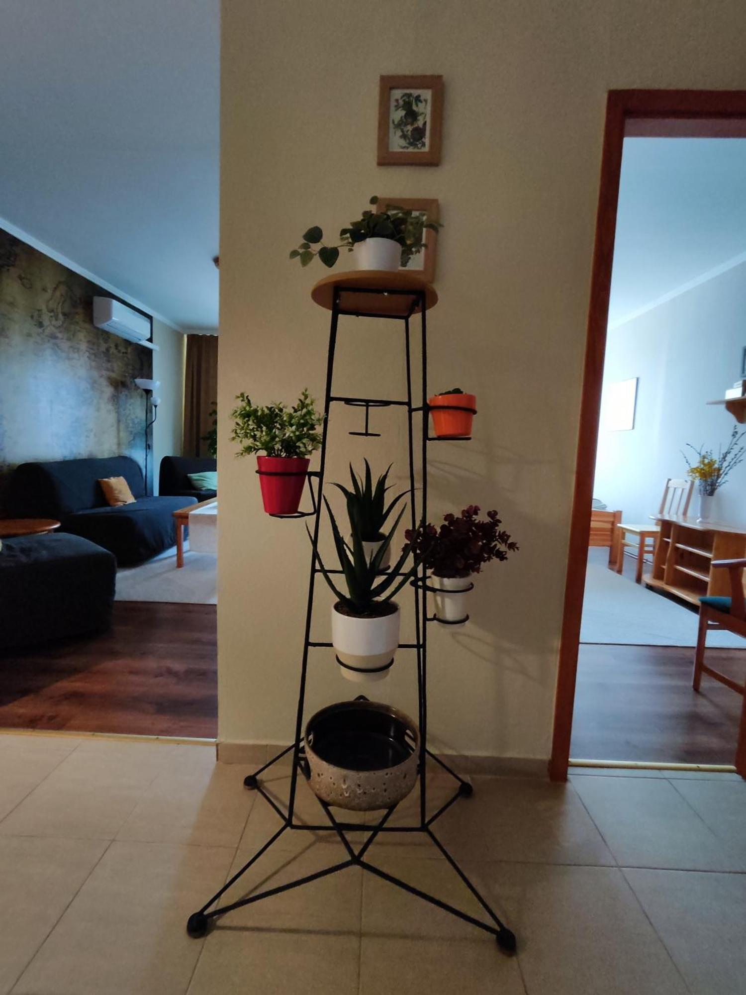 St. Benedek Apartmanlakas Apartment Mezokovesd Bagian luar foto